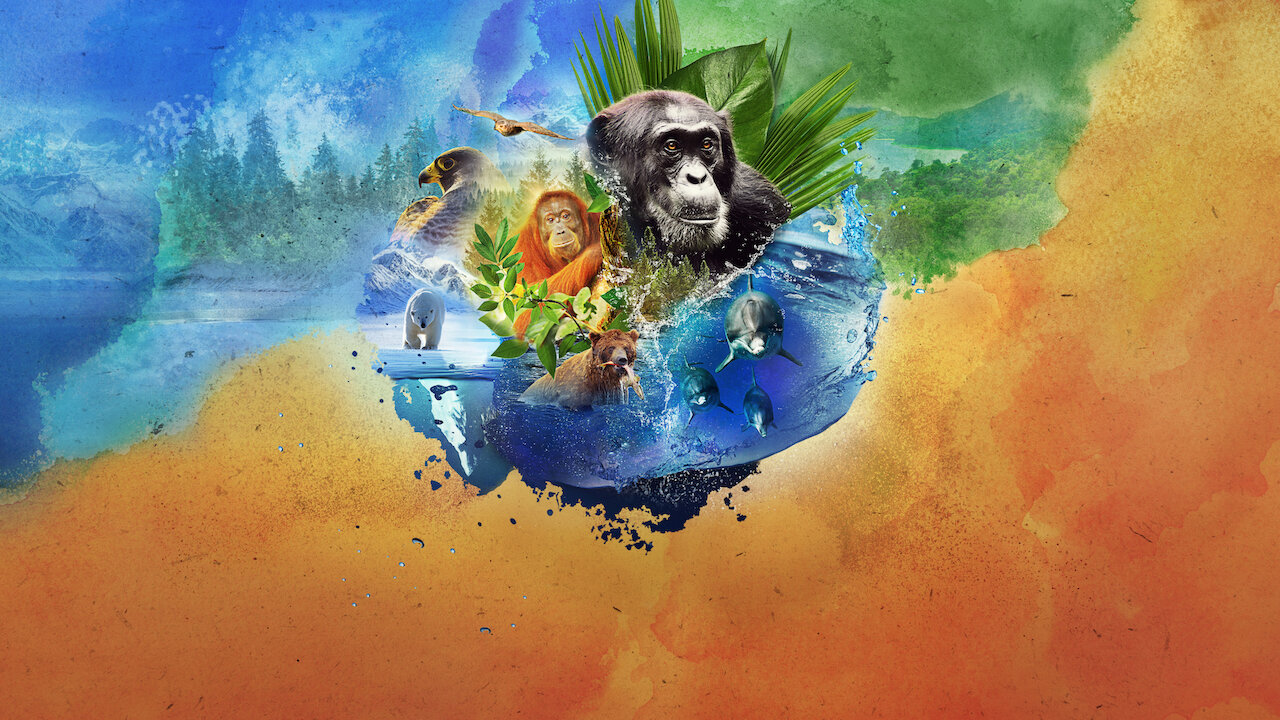 Watch Animal | Netflix Official Site Watch Animal | Netflix Official Site